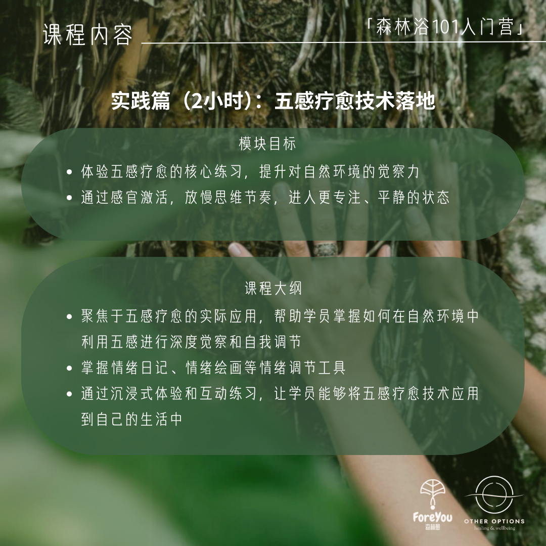 Forest Bathing 101