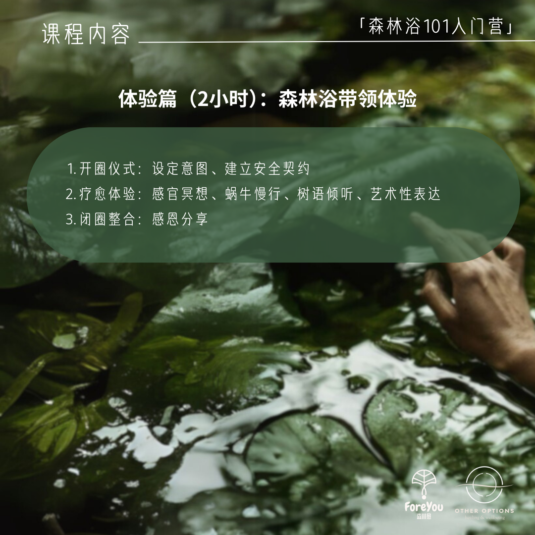 Forest Bathing 101
