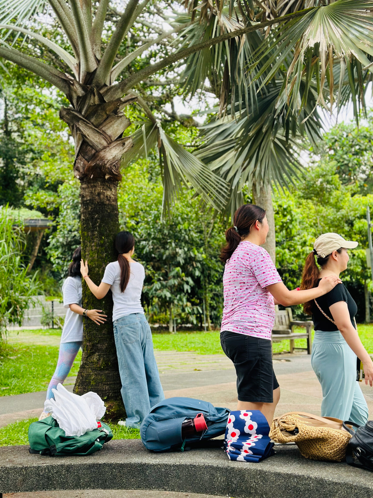 Menu 3.3 Immersive Forest Bathing Walk