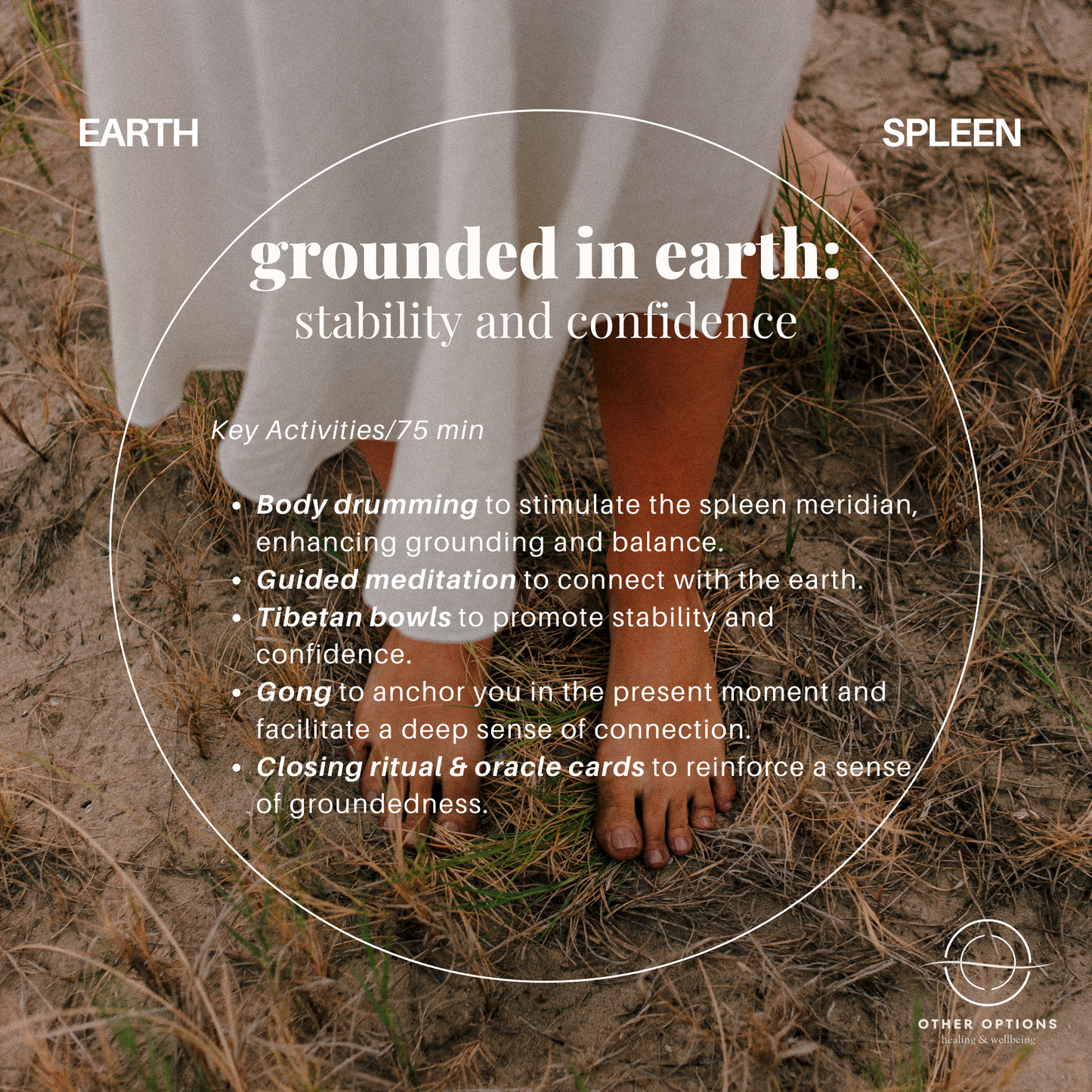 Menu 3.1 Five Elemental Harmony Sound Healing (5 x 75 min session)