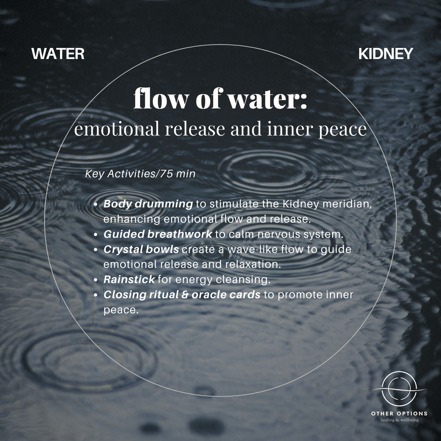 Menu 3.1 Five Elemental Harmony Sound Healing (5 x 75 min session)