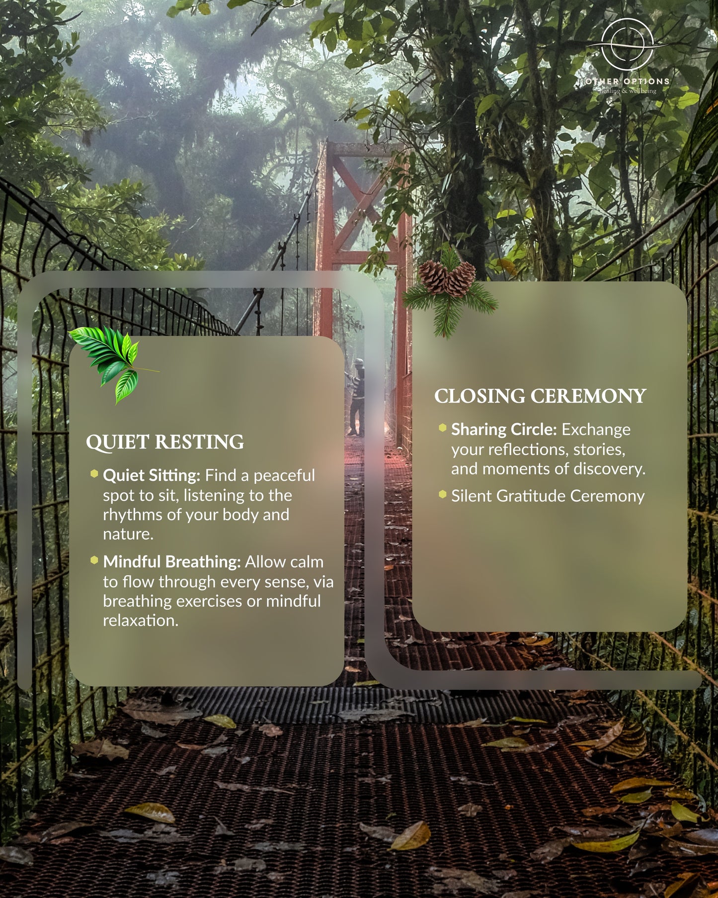 Forest Bathing Workshops (1.5~2 hrs)