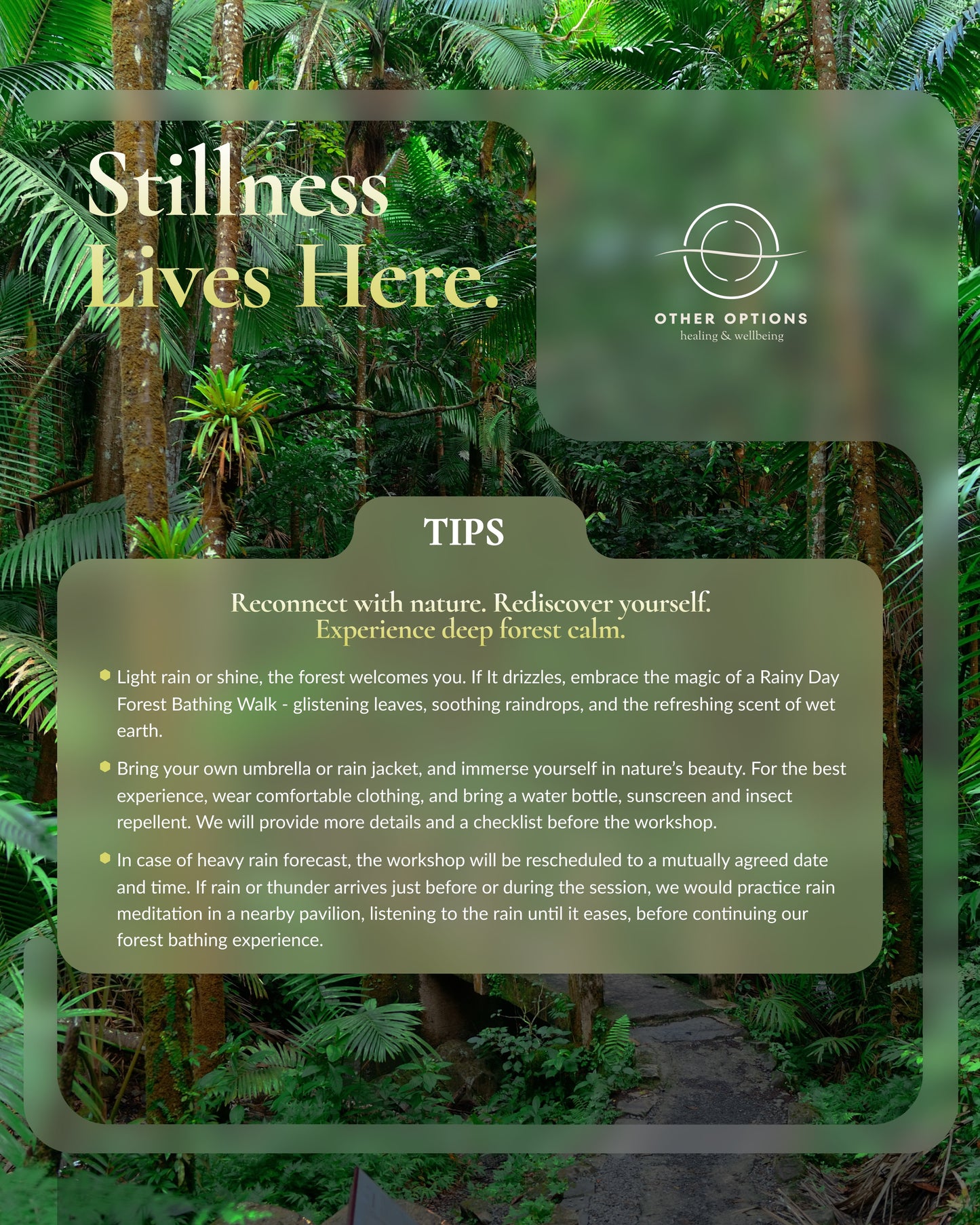 Forest Bathing Workshops (1.5~2 hrs)