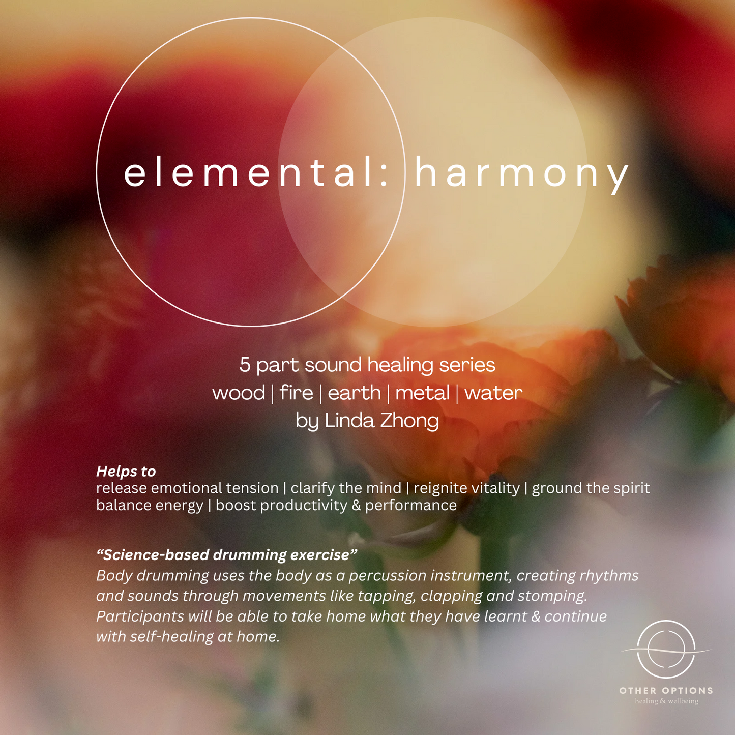 Menu 3.1 Five Elemental Harmony Sound Healing (5 x 75 min session)