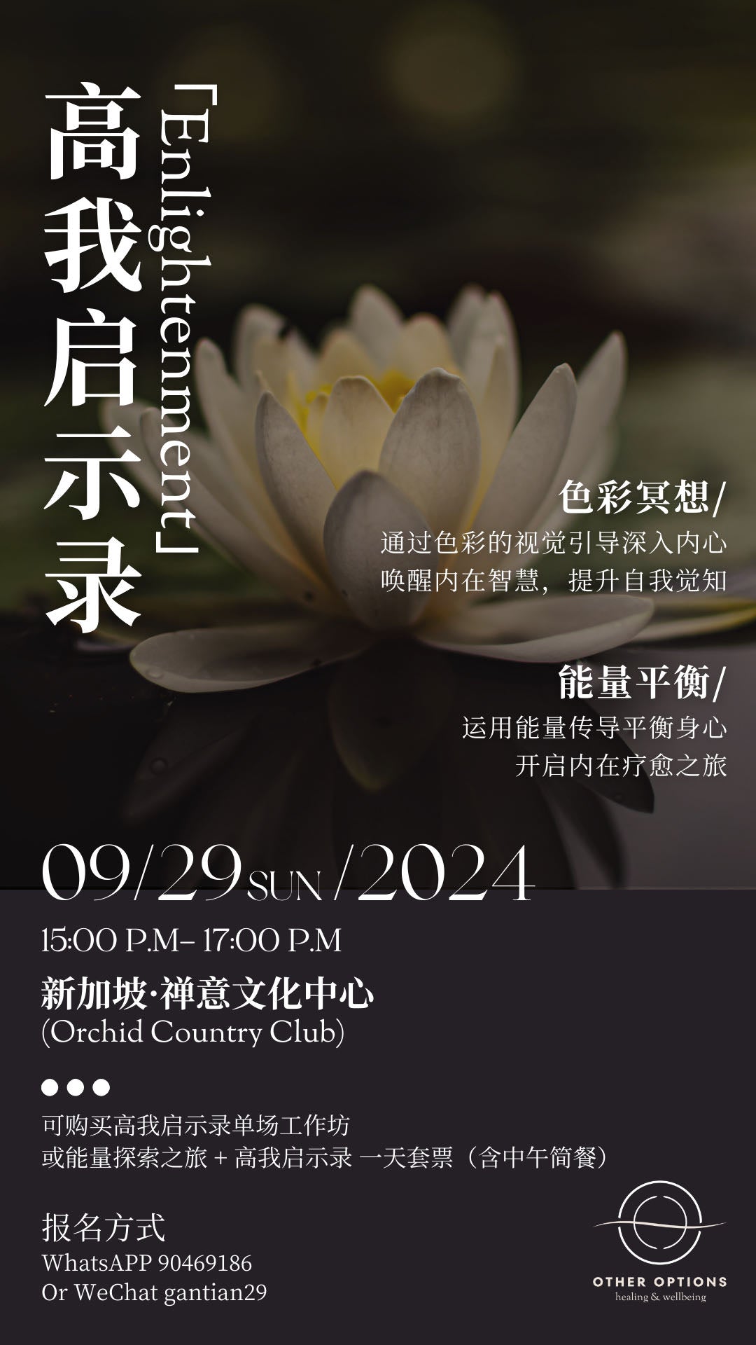 Color Visualization and Lotus Healing 240929