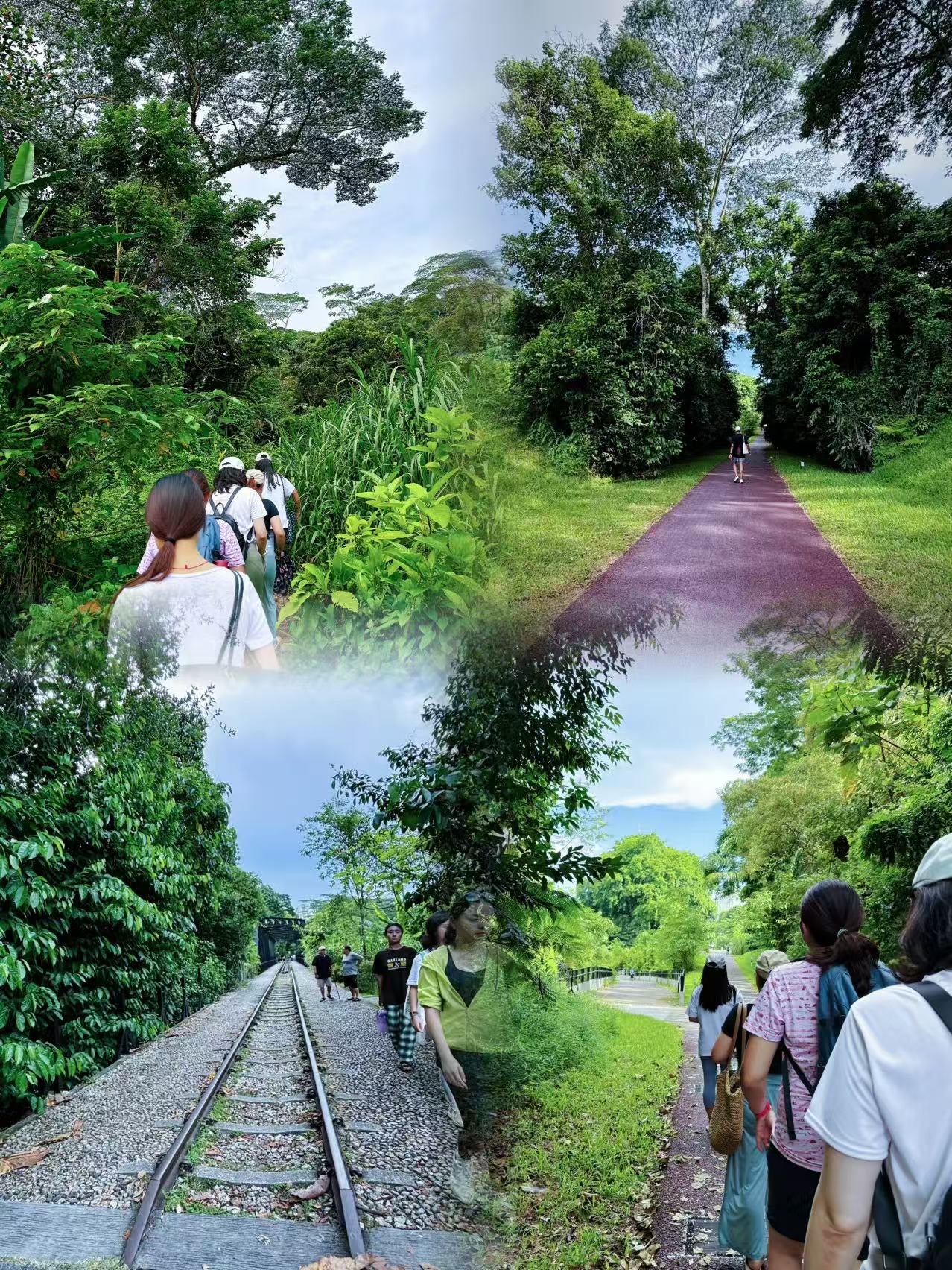 Forest Bathing Workshops (1.5~2 hrs)