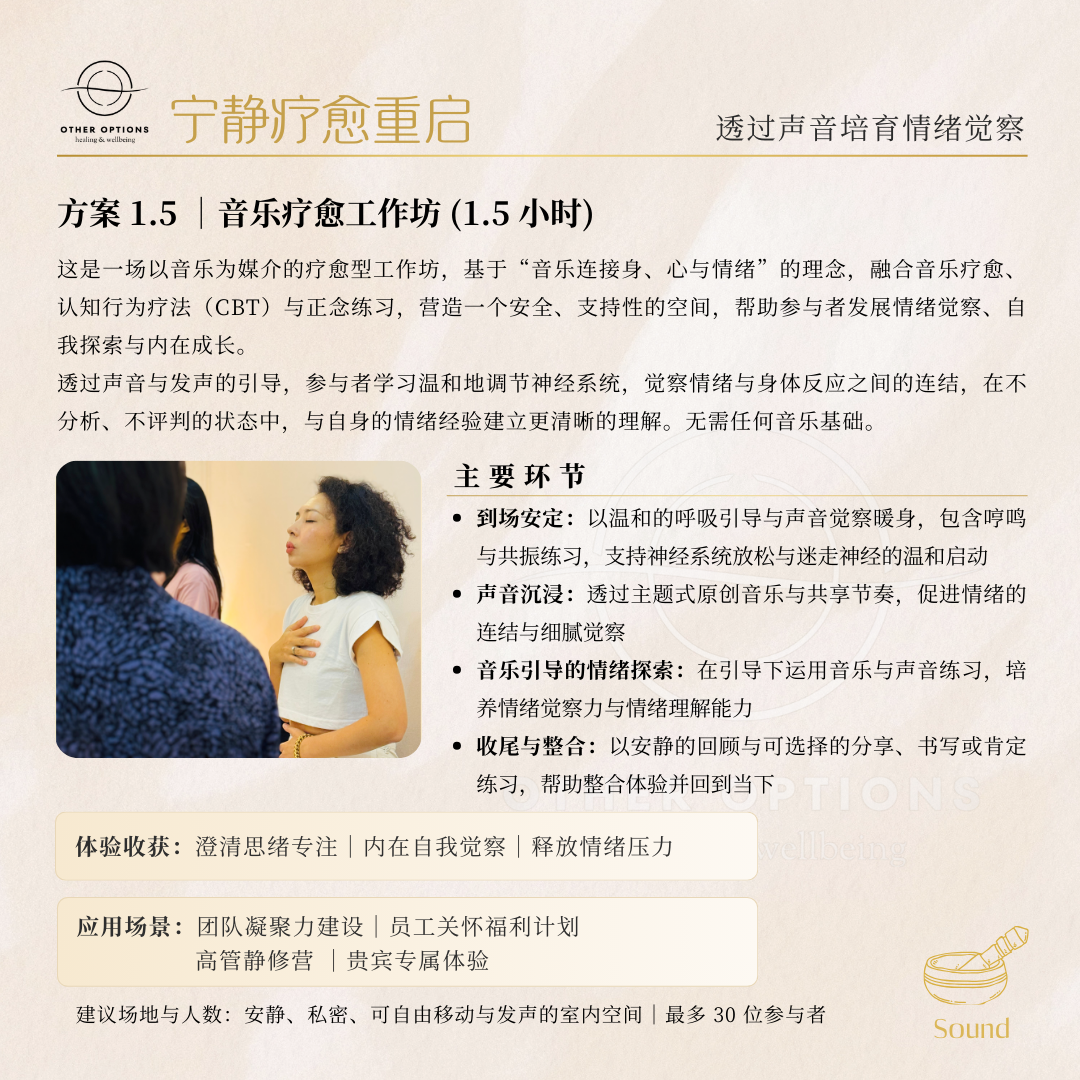 Menu 1.5  Therapeutic Music Workshop (1.5 hrs)