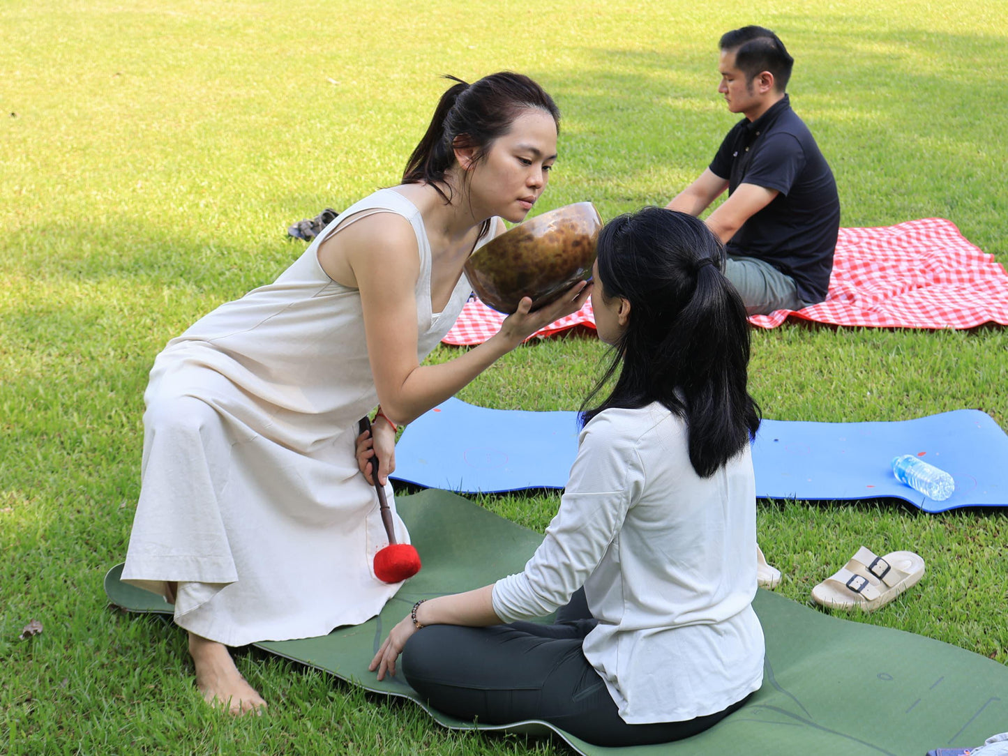 Menu 2.7  Vibrational Wellness Sound Healing Workshop (1.5-2 hrs)