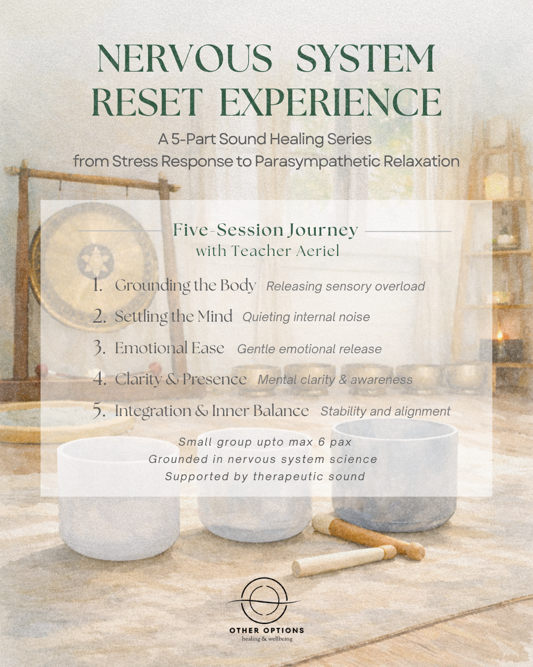 神经系统深度调频 · 五次音疗安抚之旅