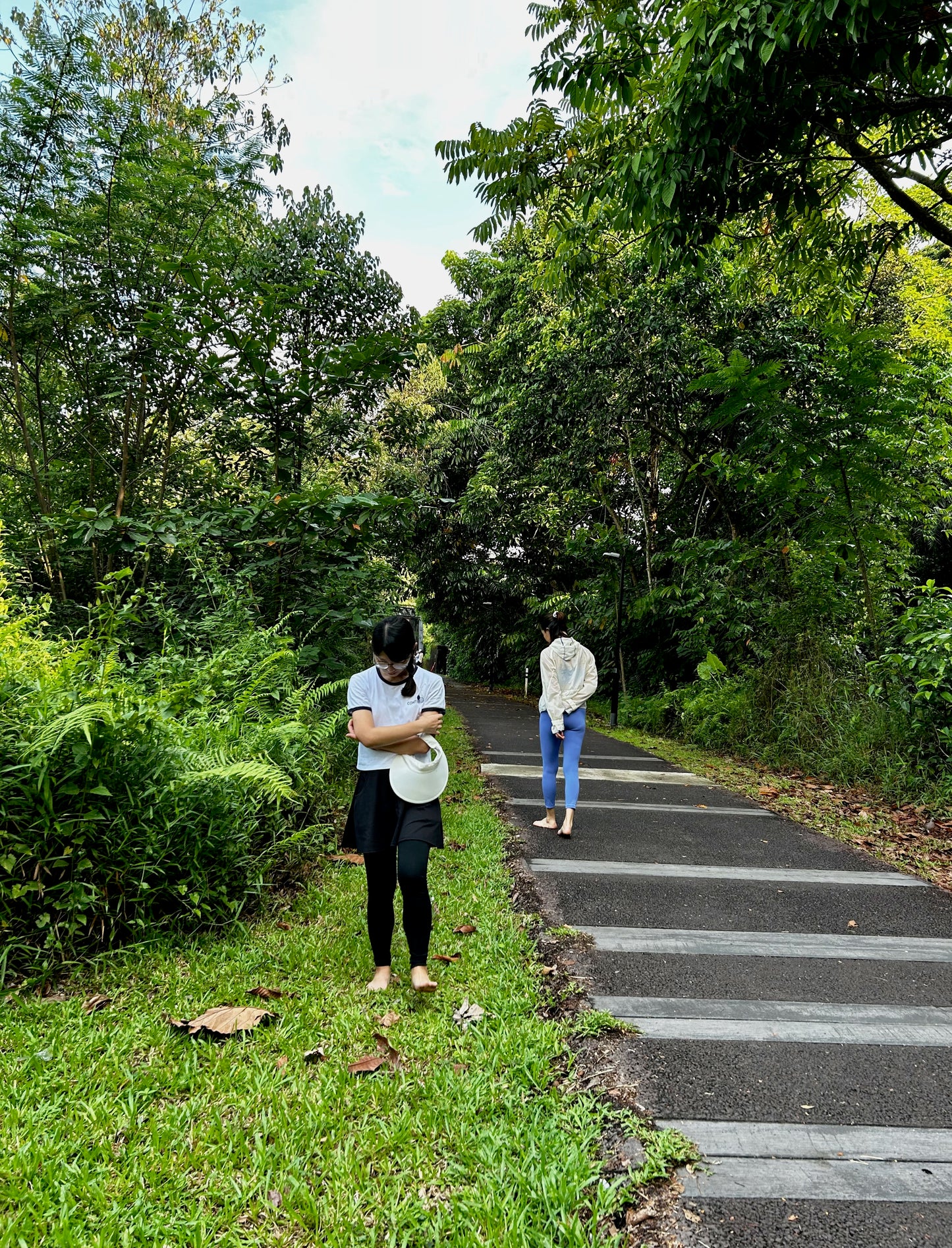 Menu 1.3  Immersive Forest Bathing Walk (2 hrs)