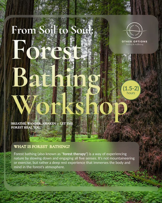 Forest Bathing Workshops （1.5～2 hrs）