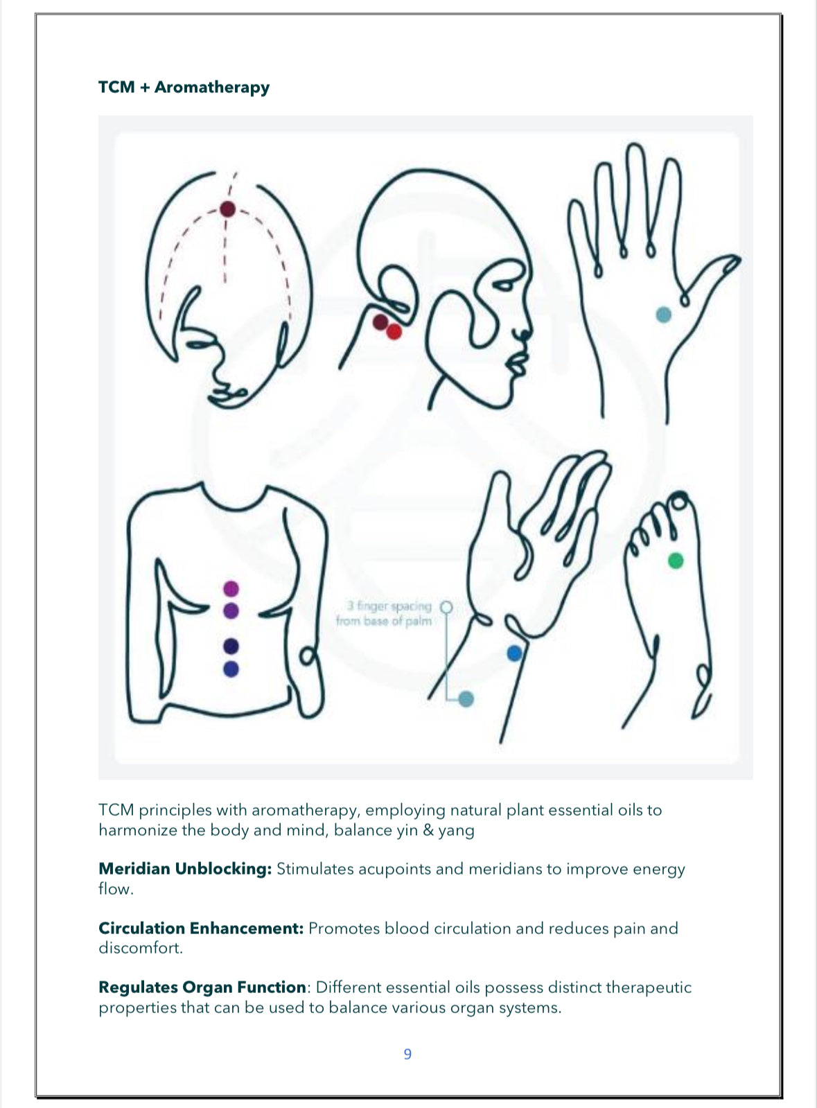 NTU Event - Acupressure Workshop for Stress & Digestive Harmony