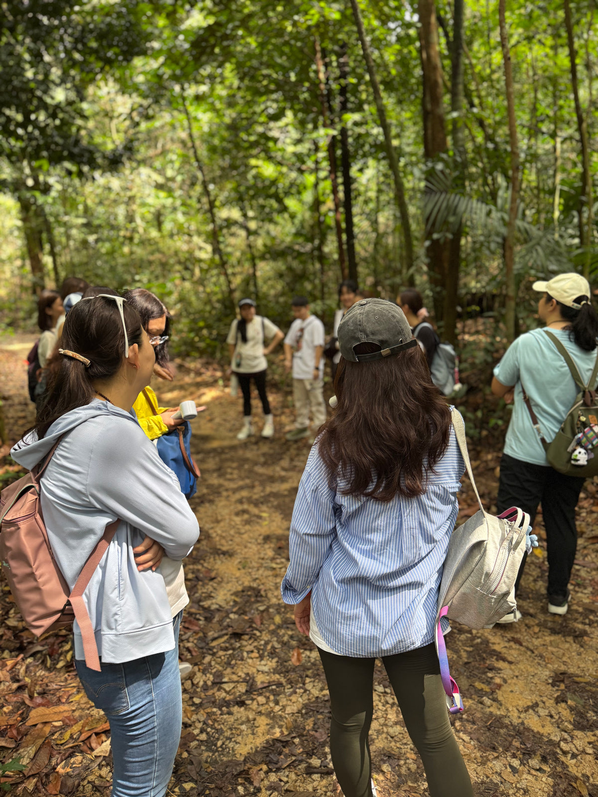 Menu 3.3  Immersive Forest Bathing Walk