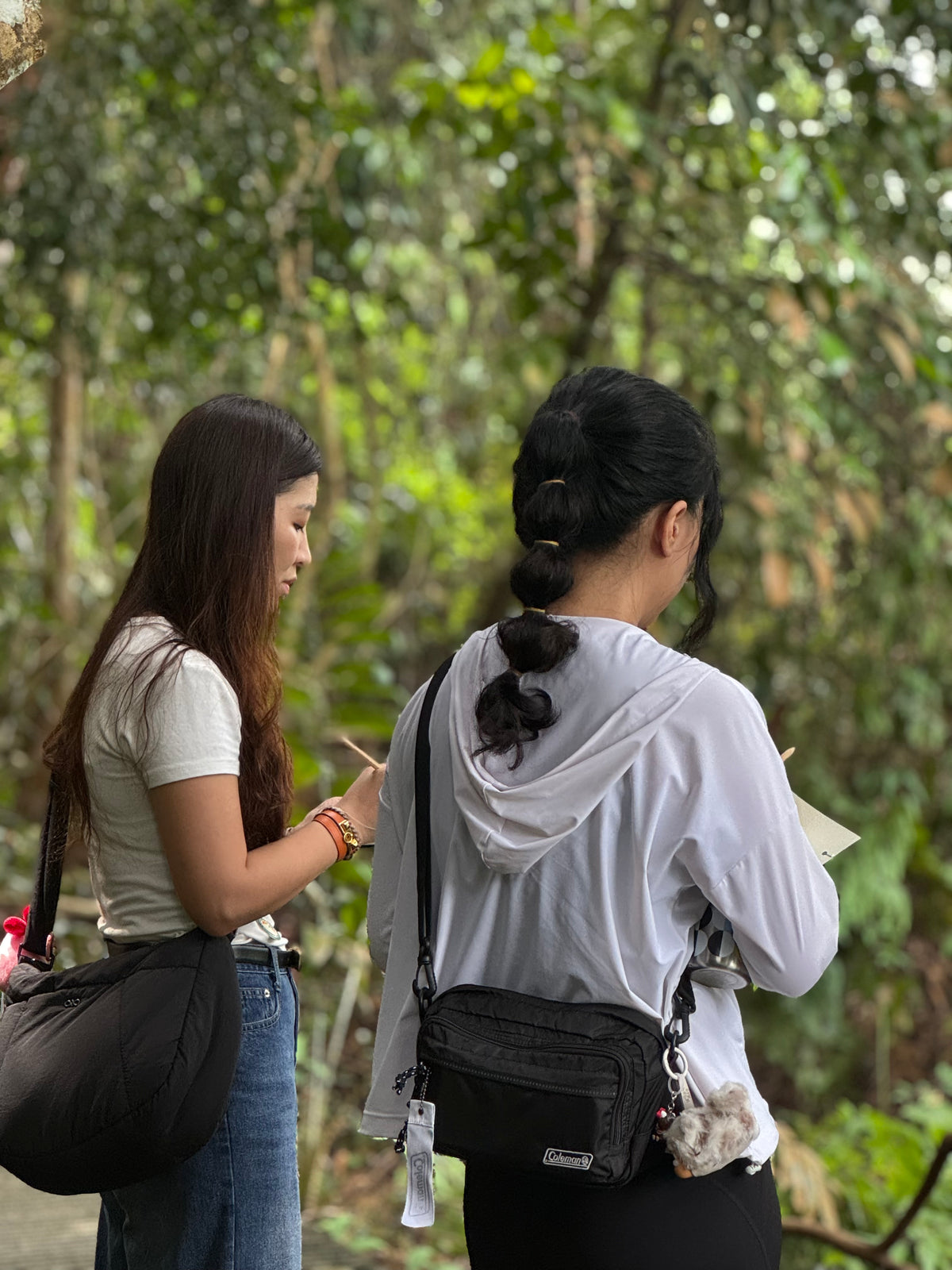 Menu 3.3  Immersive Forest Bathing Walk