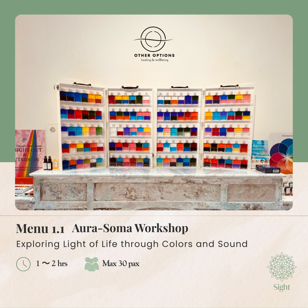 Menu 1.1  Aura-Soma Workshop