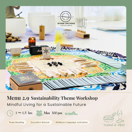 Menu 2.9  Sustainability Theme Workshop (1-1.5 hrs)