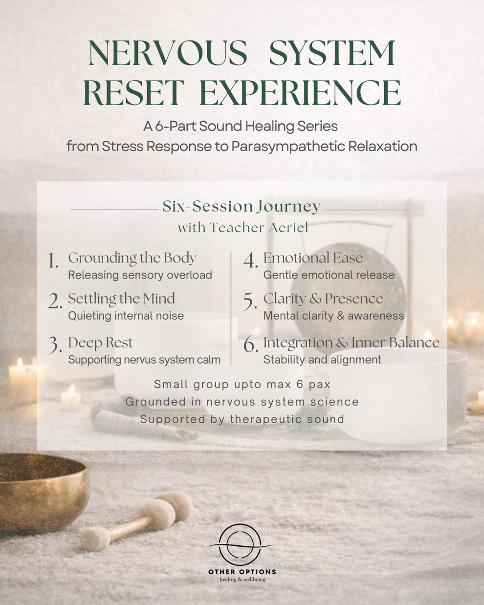 Nervous System Reset Sound Bath Series | Regular Wellness Course