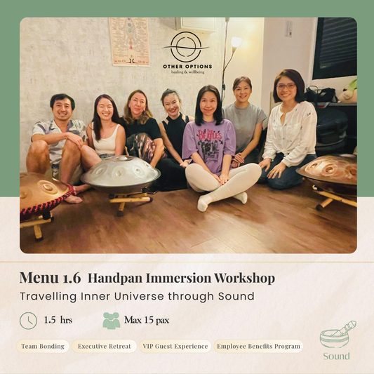 Menu 1.6  Handpan Immersion Workshop  (1.5-2 hrs)