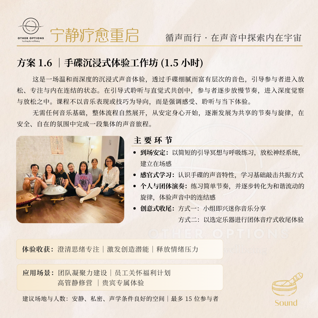Menu 1.6  Handpan Immersion Workshop  (1.5-2 hrs)